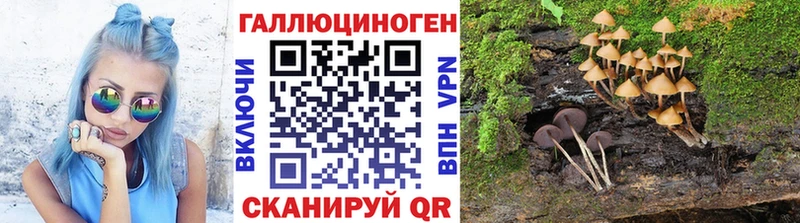 Галлюциногенные грибы мицелий Оленегорск